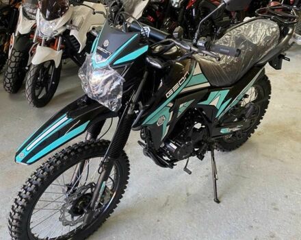 Геон Другая, объемом двигателя 0.25 л и пробегом 0 тыс. км за 1780 $, фото 3 на Automoto.ua