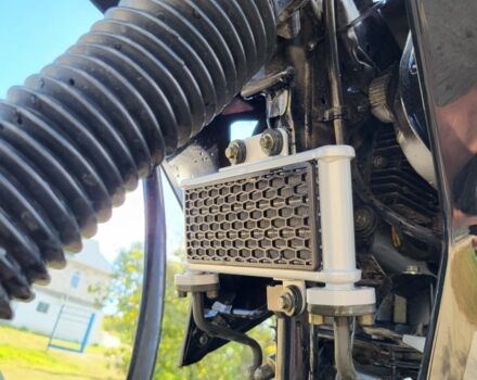 Геон Другая, объемом двигателя 0.25 л и пробегом 0 тыс. км за 1660 $, фото 5 на Automoto.ua