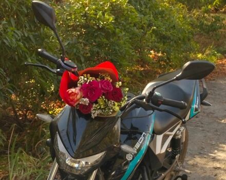 Геон Другая, объемом двигателя 1 л и пробегом 0 тыс. км за 5099 $, фото 1 на Automoto.ua