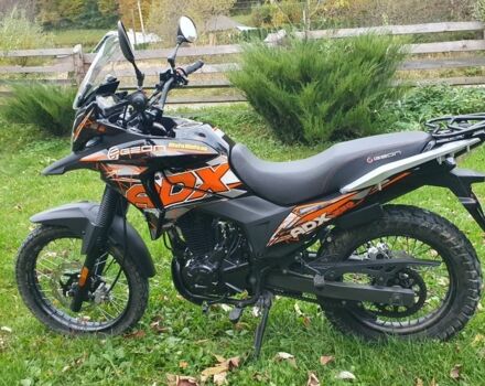 Геон Інша, об'ємом двигуна 0.25 л та пробігом 0 тис. км за 1550 $, фото 22 на Automoto.ua