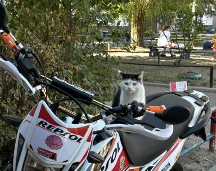 Геон Другая, объемом двигателя 0.25 л и пробегом 0 тыс. км за 1099 $, фото 5 на Automoto.ua