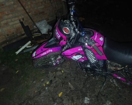 Геон Інша, об'ємом двигуна 0.25 л та пробігом 0 тис. км за 1120 $, фото 4 на Automoto.ua