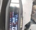 Геон Інша, об'ємом двигуна 0.25 л та пробігом 0 тис. км за 1052 $, фото 5 на Automoto.ua