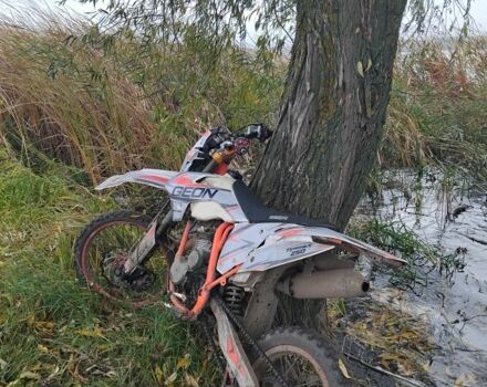 Геон Інша, об'ємом двигуна 0.25 л та пробігом 0 тис. км за 780 $, фото 1 на Automoto.ua