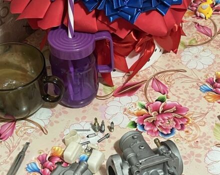 Геон Другая, объемом двигателя 0.25 л и пробегом 0 тыс. км за 1012 $, фото 7 на Automoto.ua