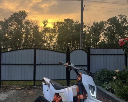 Геон Другая, объемом двигателя 0.25 л и пробегом 0 тыс. км за 1100 $, фото 8 на Automoto.ua