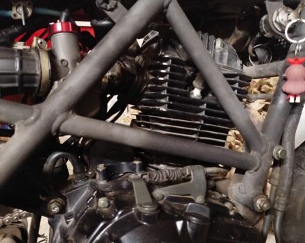 Геон Інша, об'ємом двигуна 0.25 л та пробігом 0 тис. км за 1310 $, фото 6 на Automoto.ua