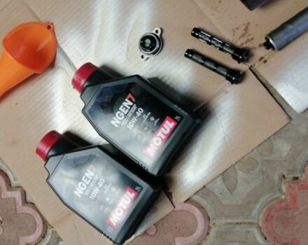 Геон Другая, объемом двигателя 0.25 л и пробегом 0 тыс. км за 2700 $, фото 19 на Automoto.ua