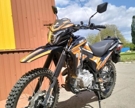 Геон Інша, об'ємом двигуна 0.25 л та пробігом 0 тис. км за 1450 $, фото 2 на Automoto.ua