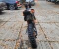Геон Другая, объемом двигателя 0.3 л и пробегом 0 тыс. км за 2100 $, фото 2 на Automoto.ua