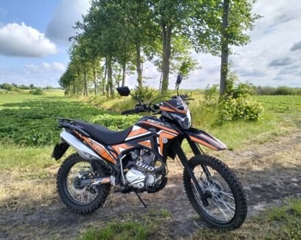 Геон Інша, об'ємом двигуна 0.25 л та пробігом 0 тис. км за 1450 $, фото 1 на Automoto.ua