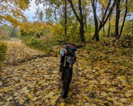 Геон Інша, об'ємом двигуна 0.3 л та пробігом 0 тис. км за 2750 $, фото 1 на Automoto.ua