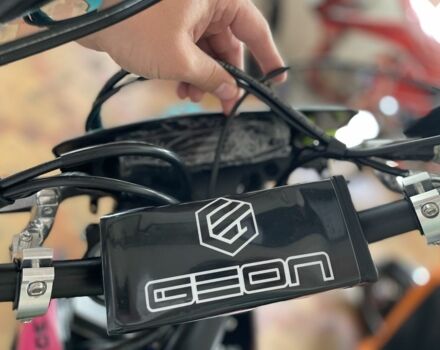 Геон Інша, об'ємом двигуна 0.3 л та пробігом 0 тис. км за 2799 $, фото 8 на Automoto.ua