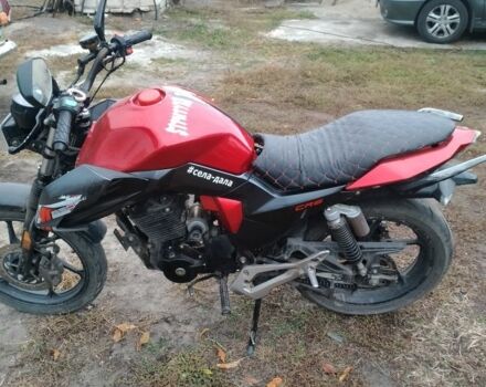 Геон Інша, об'ємом двигуна 0.25 л та пробігом 0 тис. км за 687 $, фото 4 на Automoto.ua