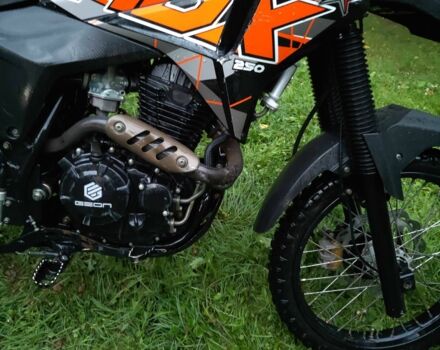 Геон Другая, объемом двигателя 0.25 л и пробегом 0 тыс. км за 1350 $, фото 3 на Automoto.ua