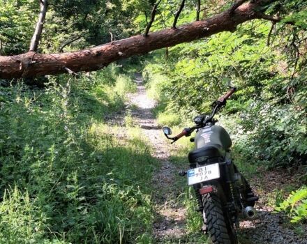 Геон Інша, об'ємом двигуна 0 л та пробігом 0 тис. км за 1233 $, фото 1 на Automoto.ua