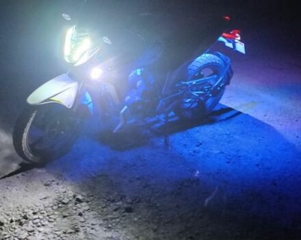 Геон Другая, объемом двигателя 0.25 л и пробегом 0 тыс. км за 1000 $, фото 6 на Automoto.ua