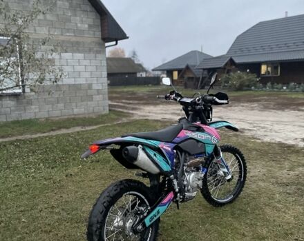 Геон Другая, объемом двигателя 0.3 л и пробегом 0 тыс. км за 2500 $, фото 17 на Automoto.ua