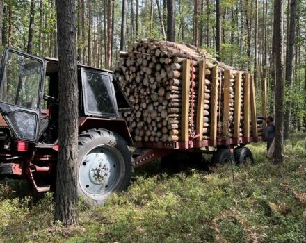 Геон Другая, объемом двигателя 0 л и пробегом 0 тыс. км за 1750 $, фото 5 на Automoto.ua