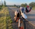 Геон Другая, объемом двигателя 0.3 л и пробегом 0 тыс. км за 2100 $, фото 1 на Automoto.ua