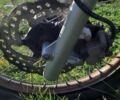 Геон Другая, объемом двигателя 0.25 л и пробегом 0 тыс. км за 1016 $, фото 2 на Automoto.ua