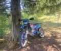 Геон Другая, объемом двигателя 0.3 л и пробегом 0 тыс. км за 2200 $, фото 2 на Automoto.ua