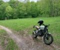 Геон Інша, об'ємом двигуна 0.25 л та пробігом 0 тис. км за 1502 $, фото 2 на Automoto.ua