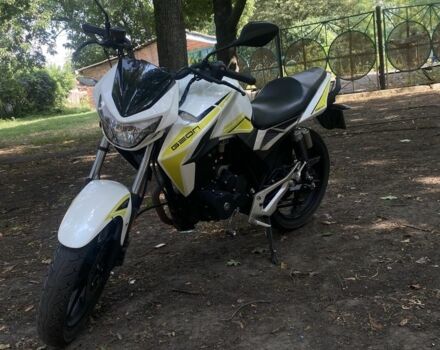 Геон Інша, об'ємом двигуна 0.2 л та пробігом 0 тис. км за 1080 $, фото 1 на Automoto.ua