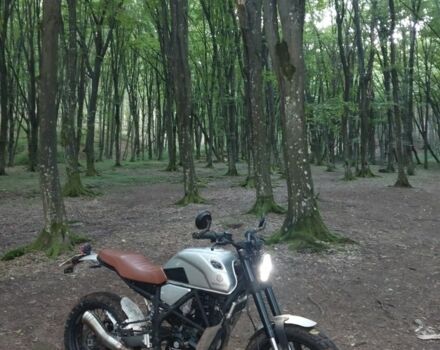 Геон Інша, об'ємом двигуна 0.25 л та пробігом 0 тис. км за 1502 $, фото 3 на Automoto.ua