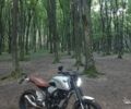 Геон Інша, об'ємом двигуна 0.25 л та пробігом 0 тис. км за 1502 $, фото 3 на Automoto.ua