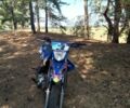 Геон Інша, об'ємом двигуна 0.25 л та пробігом 0 тис. км за 1042 $, фото 1 на Automoto.ua