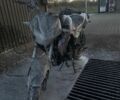 Геон Другая, объемом двигателя 0.2 л и пробегом 0 тыс. км за 1200 $, фото 3 на Automoto.ua