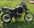 Геон Інша, об'ємом двигуна 0.25 л та пробігом 0 тис. км за 850 $, фото 1 на Automoto.ua