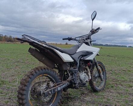 Геон Другая, объемом двигателя 0.25 л и пробегом 0 тыс. км за 1519 $, фото 5 на Automoto.ua