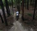 Геон Інша, об'ємом двигуна 0.14 л та пробігом 0 тис. км за 1042 $, фото 5 на Automoto.ua