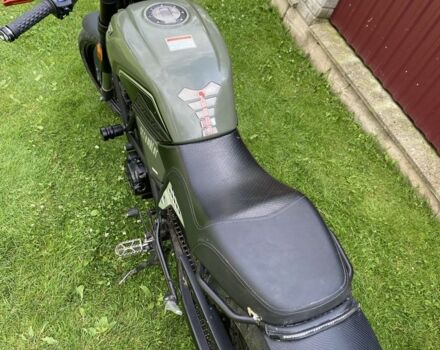 Геон Інша, об'ємом двигуна 0.25 л та пробігом 0 тис. км за 1100 $, фото 3 на Automoto.ua