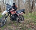 Геон Інша, об'ємом двигуна 0.25 л та пробігом 0 тис. км за 1332 $, фото 1 на Automoto.ua