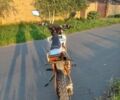 Геон Другая, объемом двигателя 0.13 л и пробегом 0 тыс. км за 969 $, фото 1 на Automoto.ua