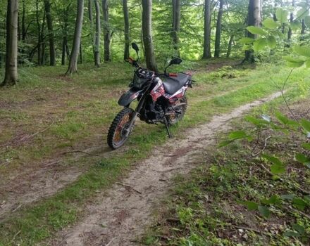 Геон Інша, об'ємом двигуна 0.2 л та пробігом 0 тис. км за 1250 $, фото 1 на Automoto.ua