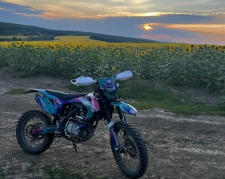 Геон Другая, объемом двигателя 0.3 л и пробегом 0 тыс. км за 2250 $, фото 4 на Automoto.ua