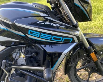 Геон Другая, объемом двигателя 0.25 л и пробегом 0 тыс. км за 1331 $, фото 5 на Automoto.ua