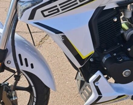 Геон Інша, об'ємом двигуна 0.25 л та пробігом 0 тис. км за 1450 $, фото 2 на Automoto.ua