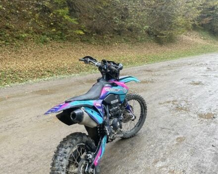 Геон Інша, об'ємом двигуна 0.3 л та пробігом 0 тис. км за 2100 $, фото 3 на Automoto.ua