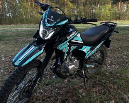 Геон Інша, об'ємом двигуна 0.25 л та пробігом 0 тис. км за 1100 $, фото 6 на Automoto.ua