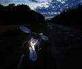 Геон Інша, об'ємом двигуна 0.3 л та пробігом 0 тис. км за 2500 $, фото 1 на Automoto.ua