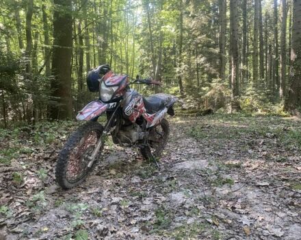 Геон Другая, объемом двигателя 0.25 л и пробегом 0 тыс. км за 1100 $, фото 2 на Automoto.ua