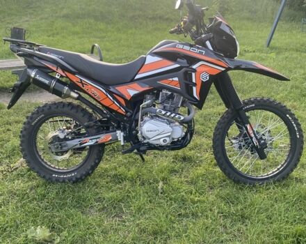 Геон Інша, об'ємом двигуна 0.25 л та пробігом 0 тис. км за 1332 $, фото 3 на Automoto.ua