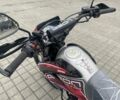 Геон Другая, объемом двигателя 0.25 л и пробегом 0 тыс. км за 1799 $, фото 12 на Automoto.ua