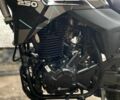 Геон Інша, об'ємом двигуна 0.25 л та пробігом 0 тис. км за 1650 $, фото 11 на Automoto.ua
