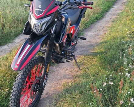 Геон Інша, об'ємом двигуна 0.25 л та пробігом 0 тис. км за 1550 $, фото 2 на Automoto.ua